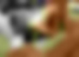 国产欧美视频在线观看,在线观影新体验