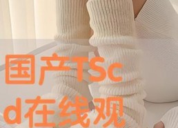 国产TSCD,引领科技潮流的创新力量