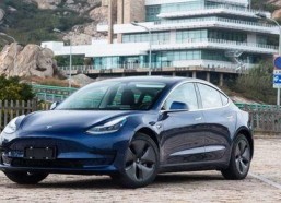 国产琪琪,琪琪的奇幻冒险之旅