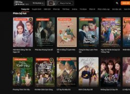 视频在线国产,视频在线国产生态圈深度解析